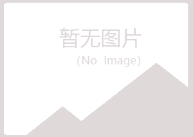 宝山区白山咨询有限公司